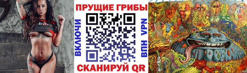 blacksprut ТОР  Топки  Галлюциногенные грибы мухоморы  магазин  наркотиков 
