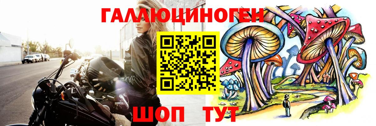 Псилоцибиновые грибы мицелий Топки