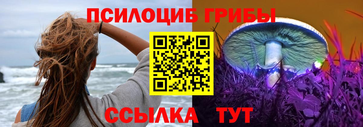 Галлюциногенные грибы Magic Shrooms  Вход с VPN  Топки 